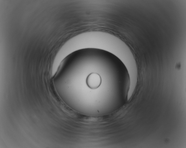 X0000116590129200912312044