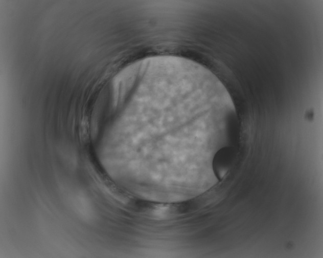 X0000116590130200912312044