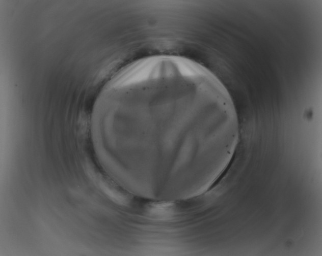 X0000116590132200912312044