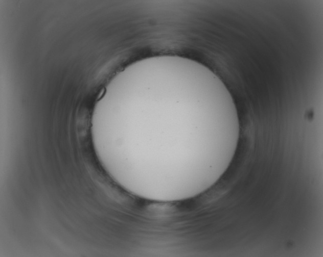 X0000116590133200912312044