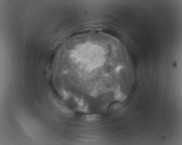 X0000116590134200912312044