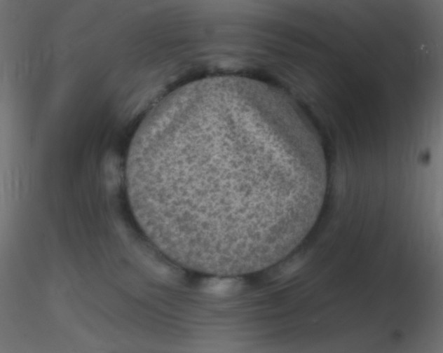 X0000116590135200912312044