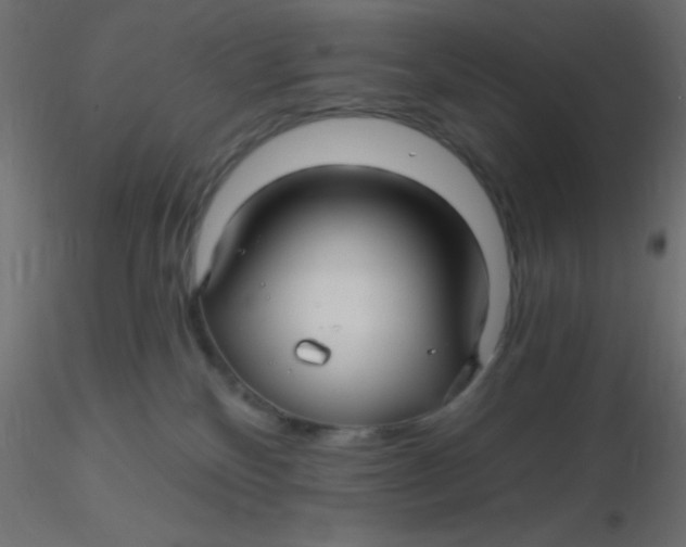 X0000116590136200912312044