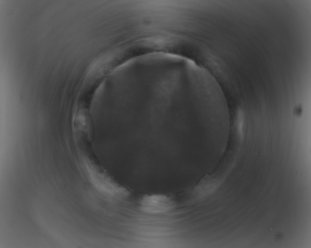 X0000116590137200912312044