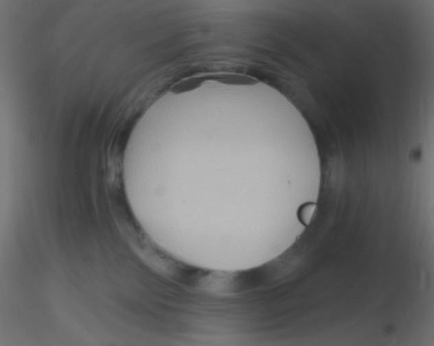 X0000116590138200912312044