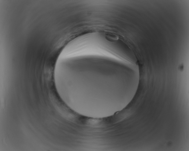 X0000116590139200912312044