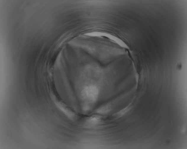 X0000116590140200912312044