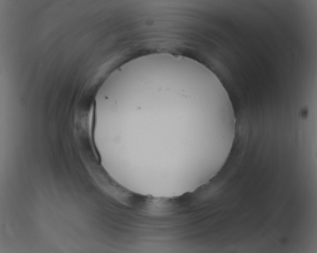 X0000116590141200912312044