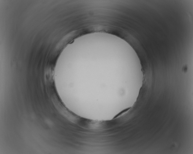 X0000116590142200912312044