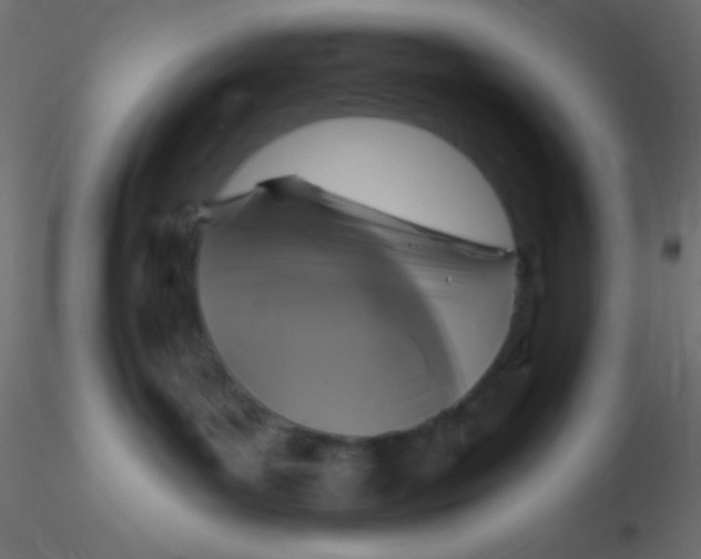 X0000116590143200912312044