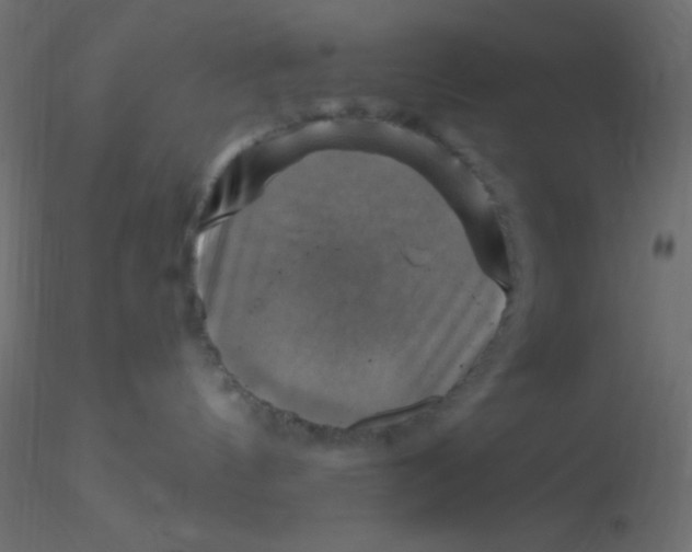 X0000116590144200912312044