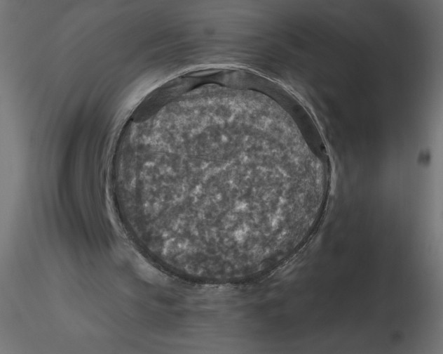 X0000116590145200912312043