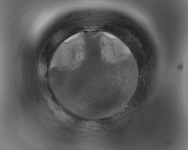 X0000116590146200912312043