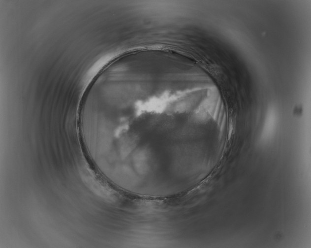 X0000116590147200912312043