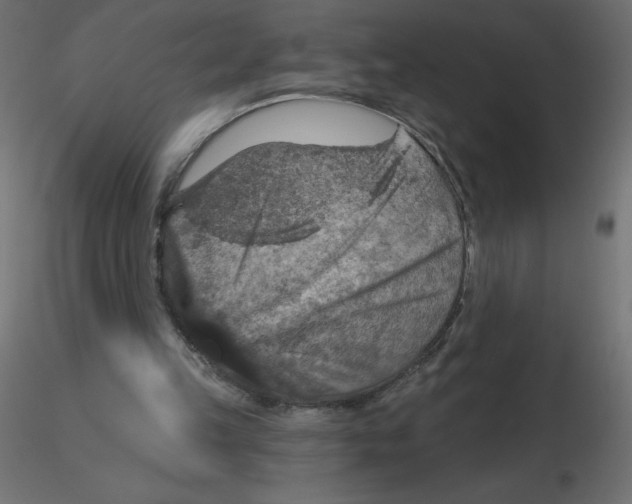 X0000116590149200912312043