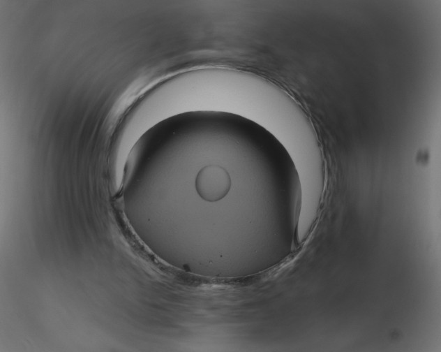 X0000116590150200912312043