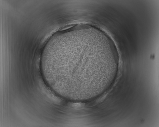 X0000116590153200912312043