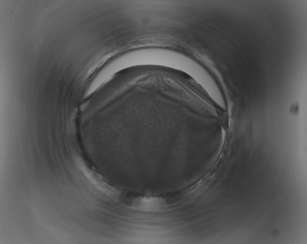 X0000116590154200912312043