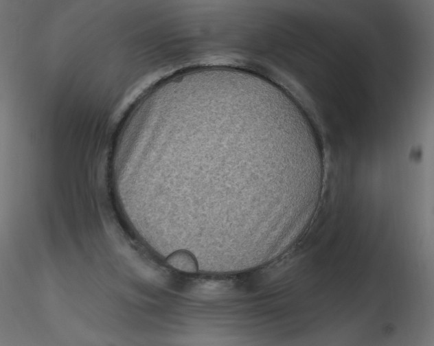 X0000116590155200912312043