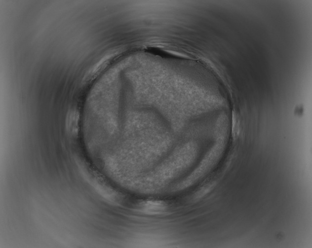 X0000116590157200912312043