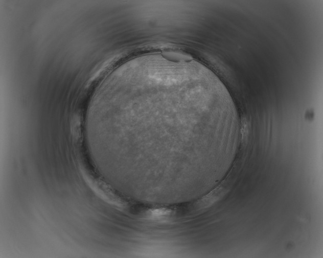 X0000116590158200912312043