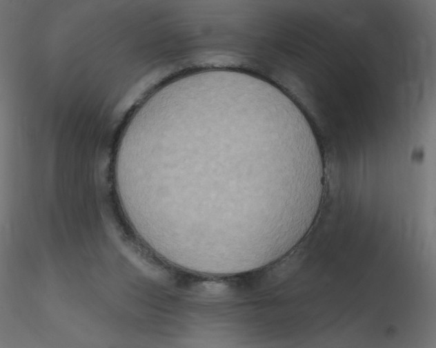 X0000116590159200912312043