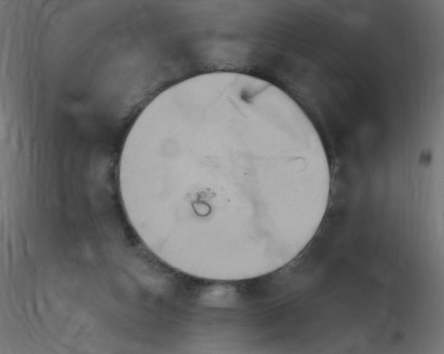 X0000116590162200912312043