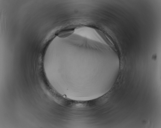 X0000116590163200912312043