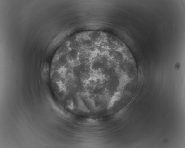 X0000116590166200912312043