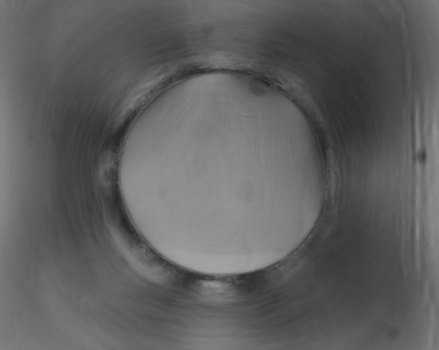 X0000116590167200912312043