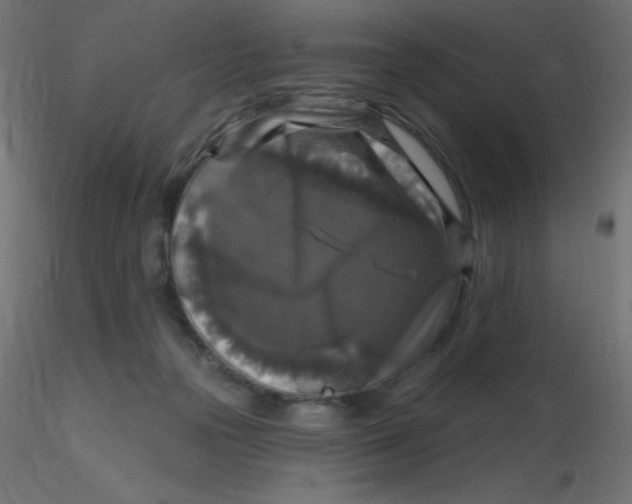 X0000116590169200912312043