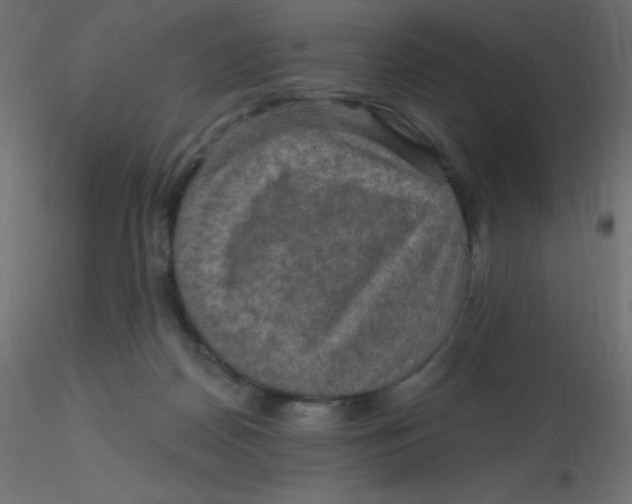 X0000116590170200912312043