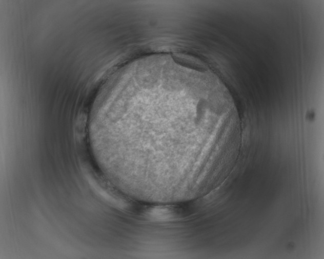 X0000116590171200912312043