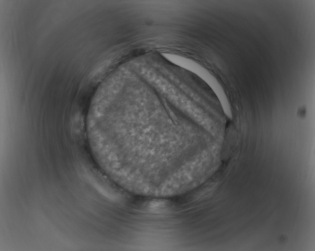 X0000116590173200912312043