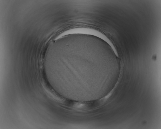 X0000116590174200912312043