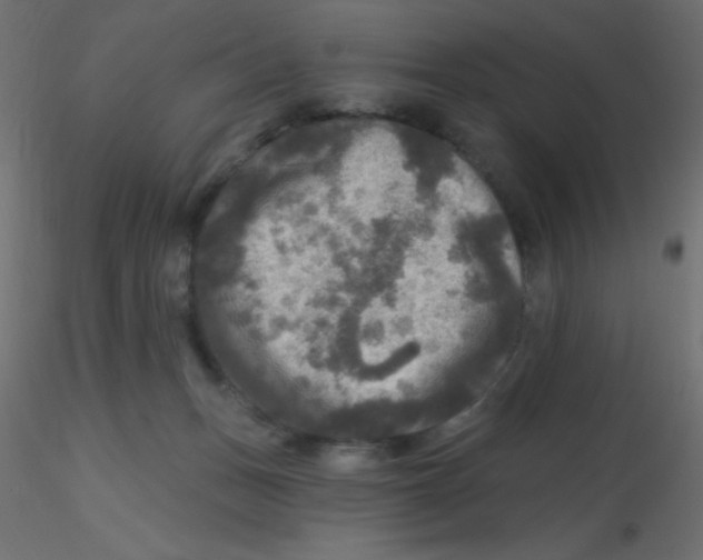 X0000116590175200912312043