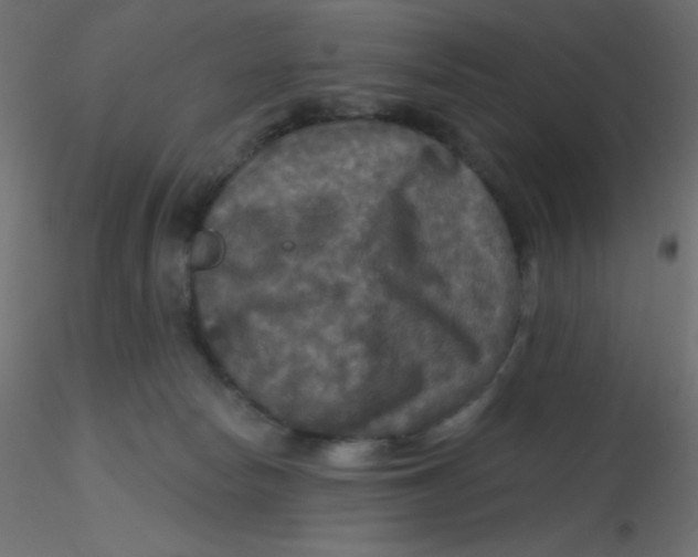 X0000116590178200912312043