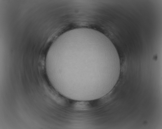 X0000116590179200912312043