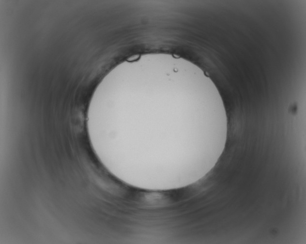 X0000116590183200912312044