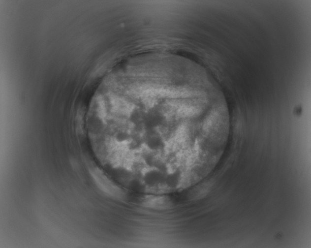 X0000116590185200912312044