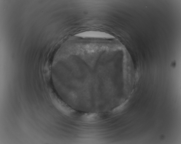 X0000116590186200912312044