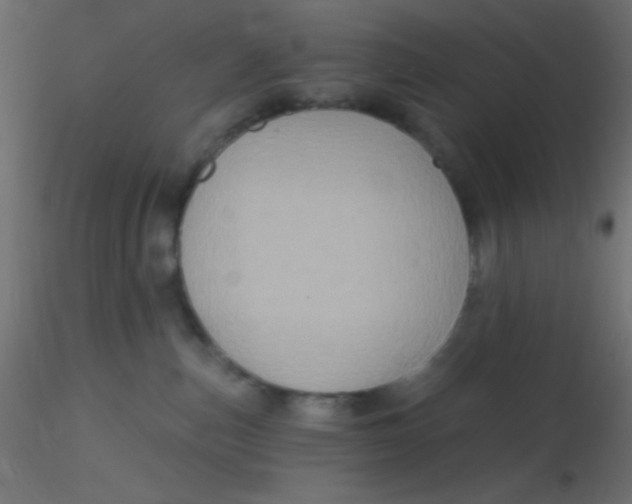 X0000116590187200912312044