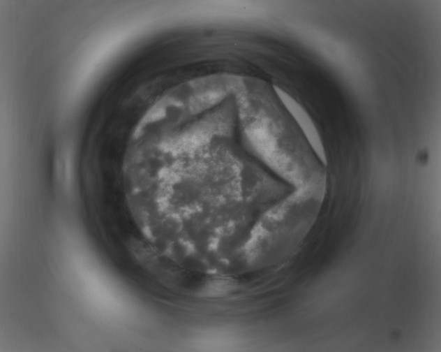 X0000116590189200912312044