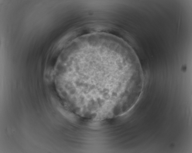 X0000116590191200912312044