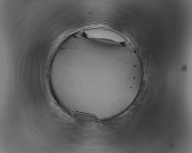 X0000116590193200912312043