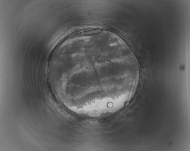 X0000116590194200912312043