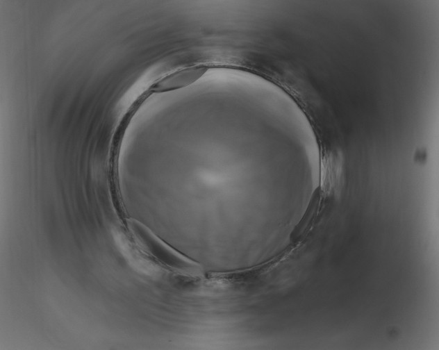 X0000116590195200912312043