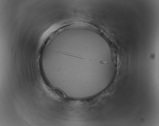 X0000116590197200912312043