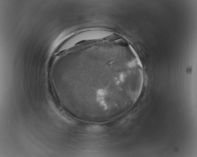 X0000116590198200912312043