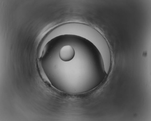 X0000116590199200912312043